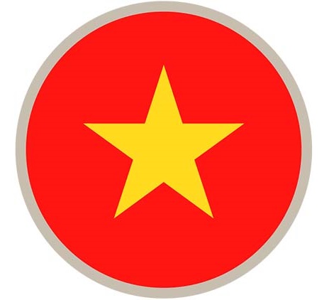 Expatriate tax - Vietnam