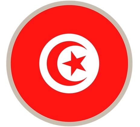 Transfer pricing - Tunisia