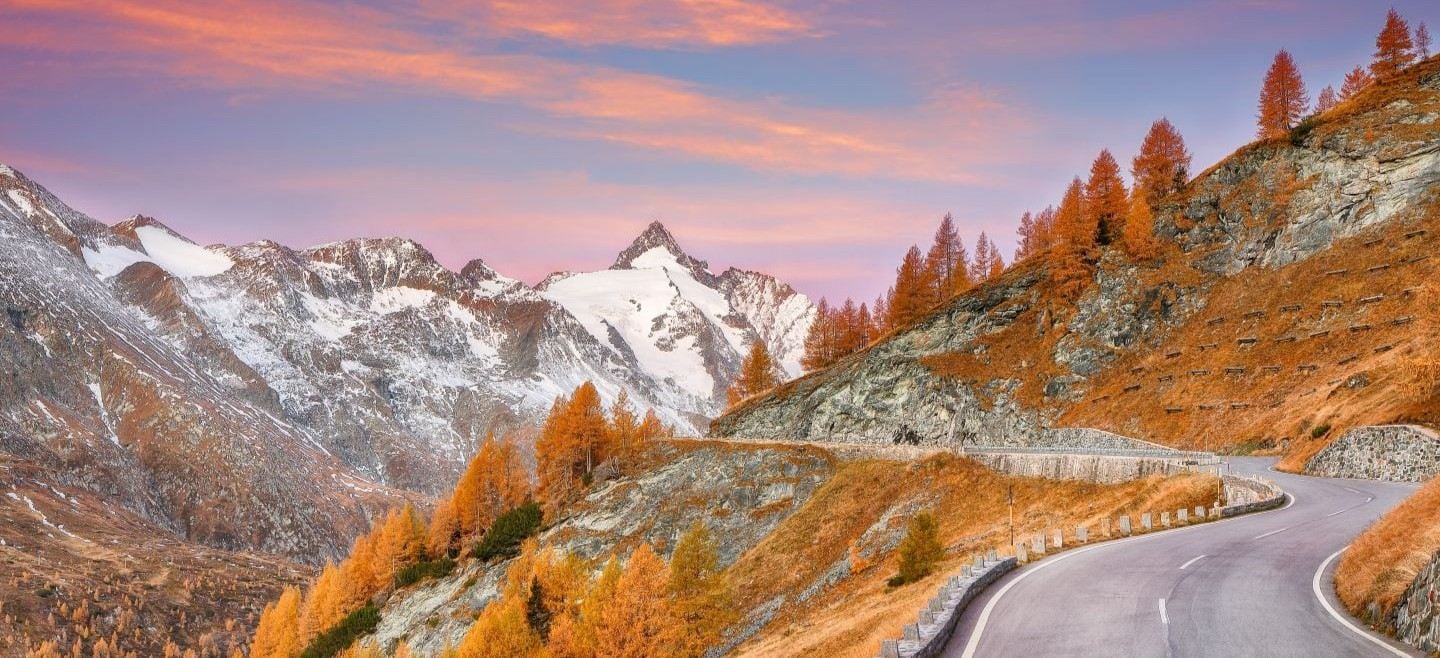 insight featured image