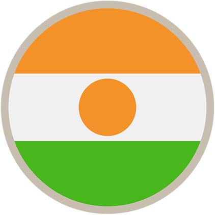Indirect tax - Niger