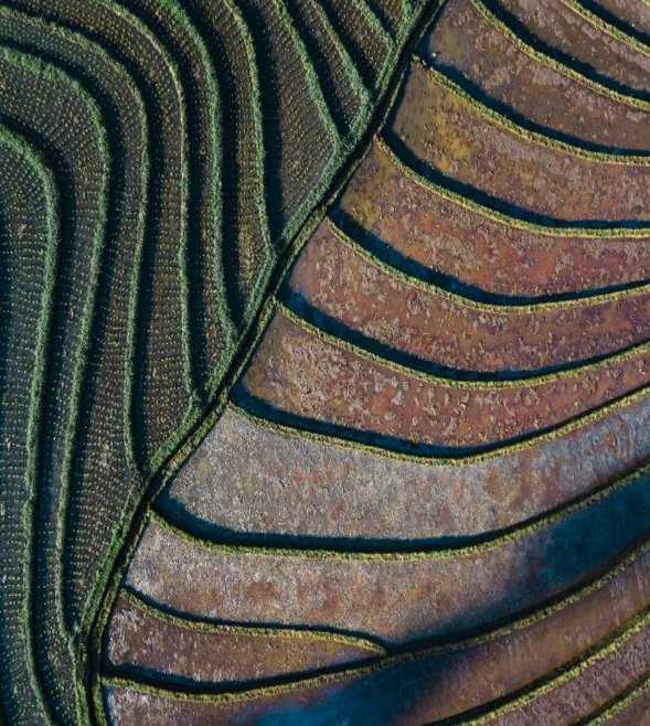 The ISSB publishes amendments to IFRS S2