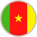 Transfer pricing - Cameroon