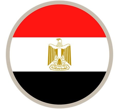 Transfer pricing - Egypt