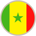Transfer pricing - Senegal