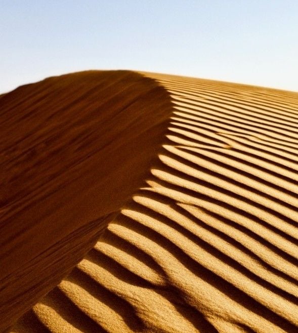 EU Council signs off on agreement to simplify sustainability reporting and due diligence requirements