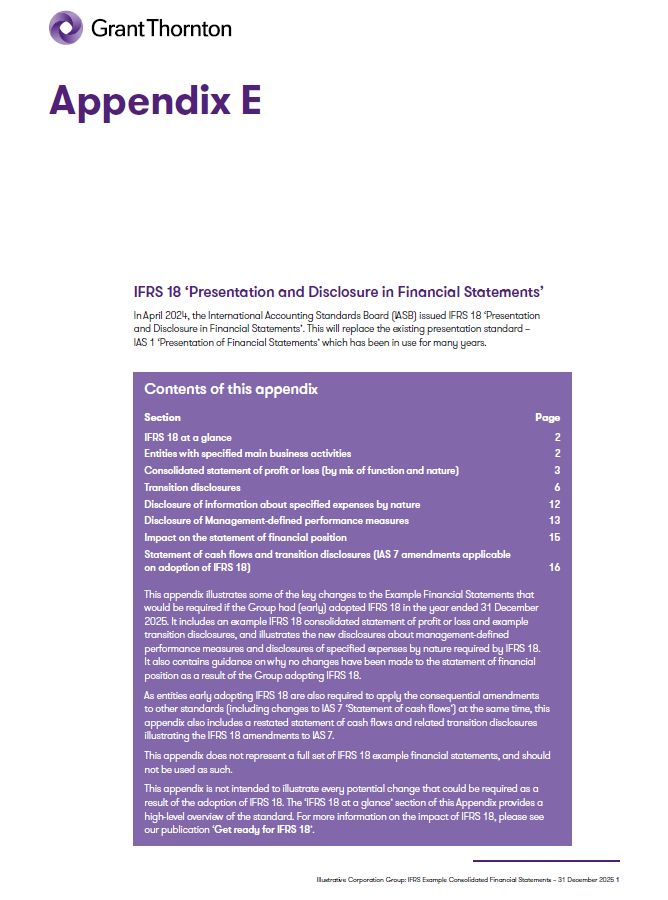 Example Consolidated Financial Statements 2025