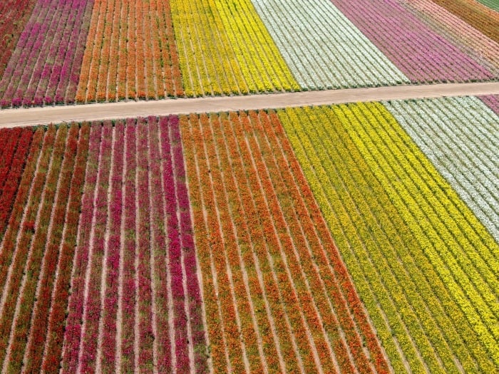 insight featured image