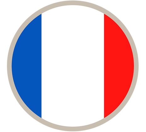 Expatriate tax - France