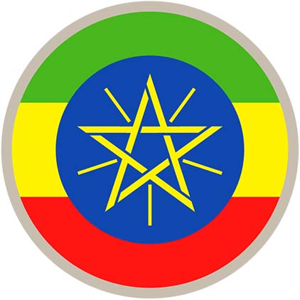 Expatriate tax - Ethiopia