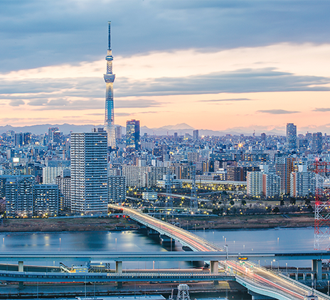 Japan - Tokyo skyline image