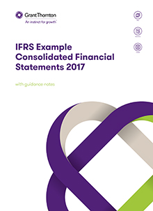 financial statements 2017 pdf