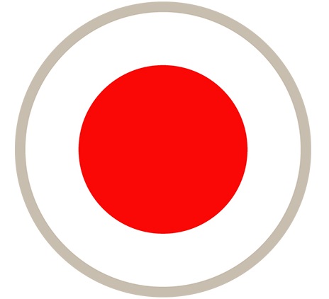Transfer pricing - Japan