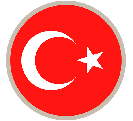 Transfer pricing - Turkey
