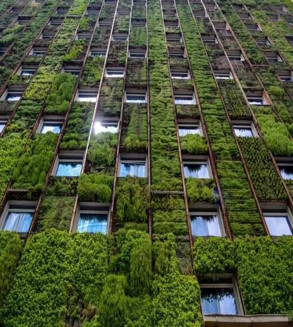 EU Parliament concludes negotiations on reduced sustainability reporting and diligence requirements